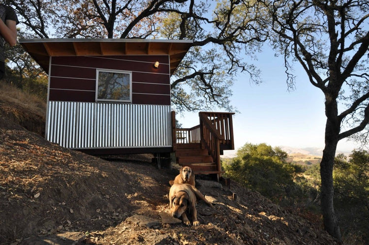 A Relaxing Work Space That Invigorates – A Studio Shed Backyard Office