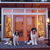 Studio Shed Holiday Gift Guide