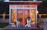 Studio Shed Holiday Gift Guide