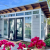 8 Easy to Implement Backyard Shed Landscaping Ideas